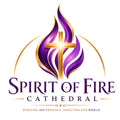 Adult Spirit of Fire Cathedral T-Shirt